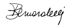 Bernardelli Stores
