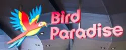 Bird Paradise Singapore