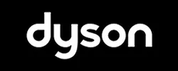 Dyson